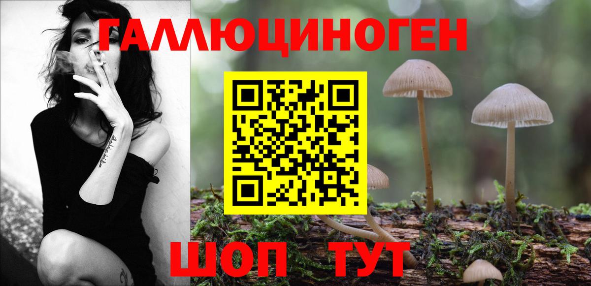 Псилоцибиновые грибы Psilocybe  Вход с VPN  Псилоцибиновые грибы мухоморы  Арзамас 